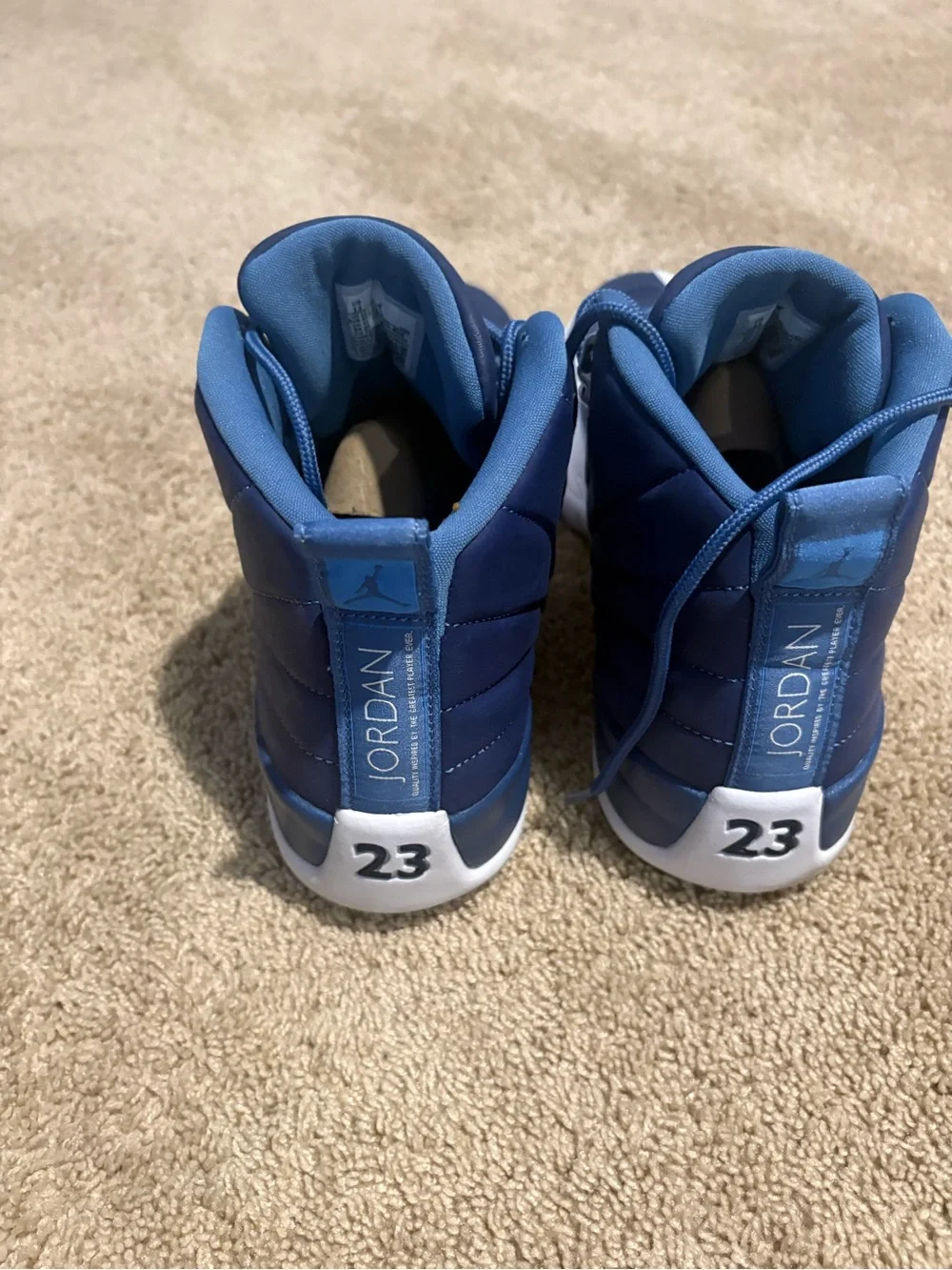 Jordan 12 Obisidian